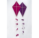 Organic Cotton Kites