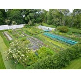 Culinary & Aromatic Herbs