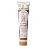 Gingival massage paste