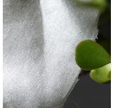 Sustainable Satin