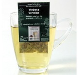 Verbena