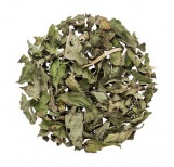 Peppermint