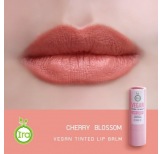 Cherry Blossom